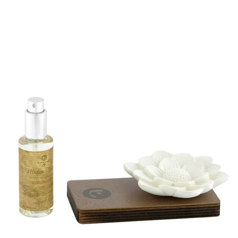 Aromatic Flower Kit Parfum d'ambiance avec recharge