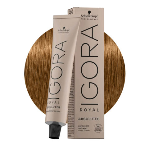 Schwarzkopf Igora Royal Absolutes 6-460 Blond Foncé Beige Chocolat Naturel  60ml - coloration permanente | Hair Gallery